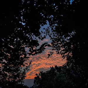 女初高中打屁股❤️网站
